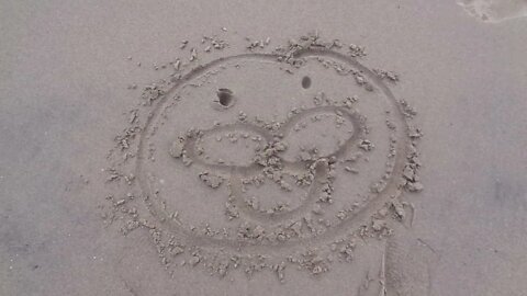 Spurdo Sparde On The Beach