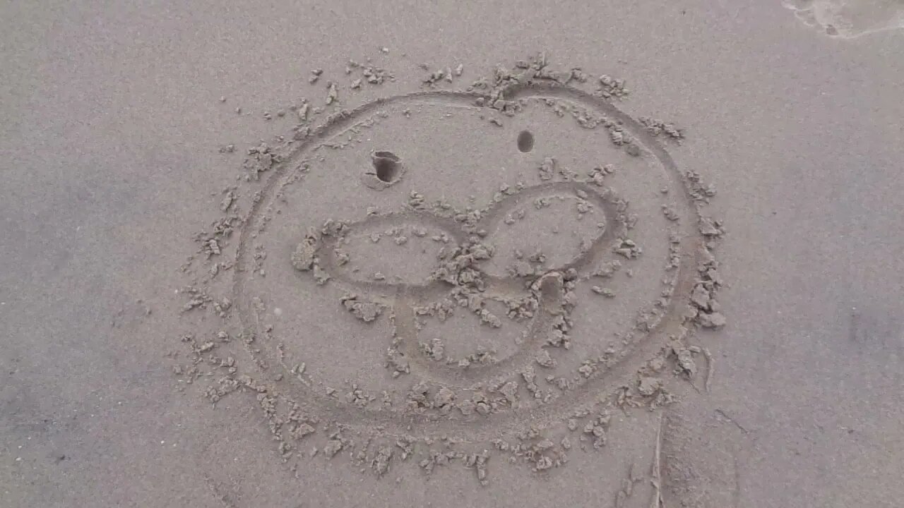 Spurdo Sparde On The Beach