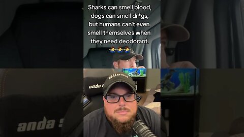 Here’s Your Dose of REALarious…🤣🤣🤣 with @BeardedWarrior #makeyoulaugh #duet #comedy #funny #joke