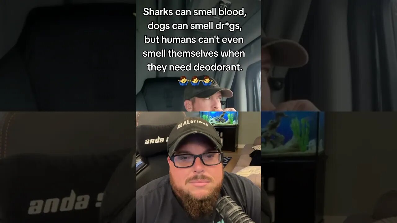Here’s Your Dose of REALarious…🤣🤣🤣 with @BeardedWarrior #makeyoulaugh #duet #comedy #funny #joke