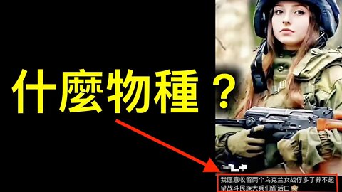 烏克蘭開始反華,海外華人被豬隊友坑慘！什麼物種趁火打放豪言「收烏克蘭美女」？