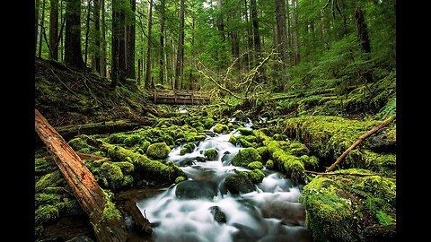 Relaxing music to relieve stress 🌿 Stop anxiety and depression • Healing the mind, body and spirit