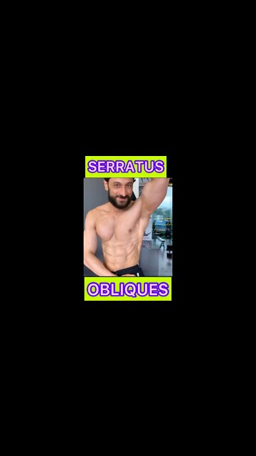 🔥 OBLIQUES #shorts