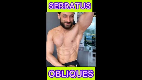 🔥 OBLIQUES #shorts