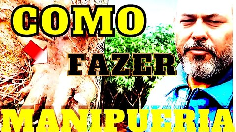 Como Fazer Manipueira-com casca de mandioca para matar formigas-cortadeiras, fertilizante fungicida