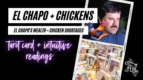 El Chapo's Wealth + Chicken Shortage Tarot Card Reading
