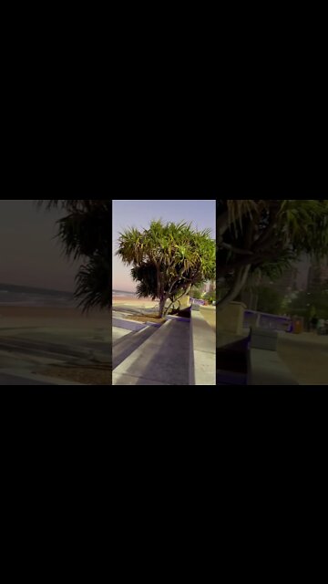 Chilling on Surfers Beach | GOLD COAST