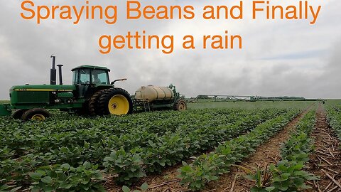 Spraying Beans and Finally Getting a Rain