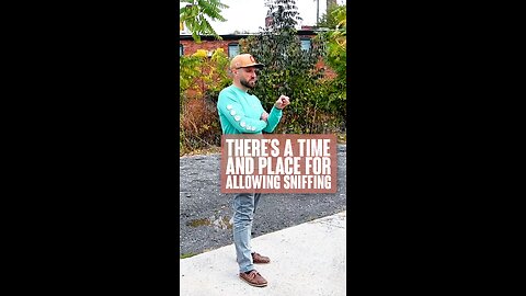 There’s A Time And Place For Sniffing