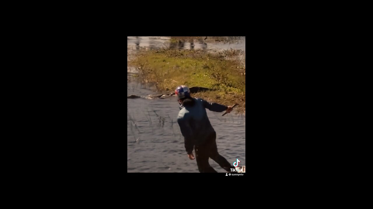 See you later alligator