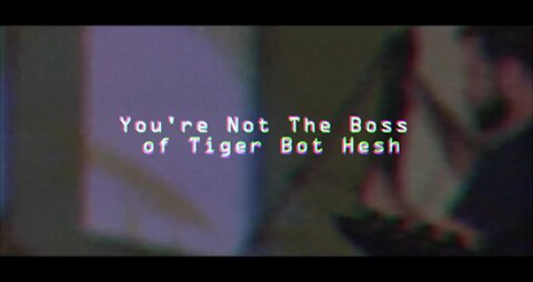 You're not The Boss of Tiger Bot Hesh - Playthrough Video - Backstabberpunk