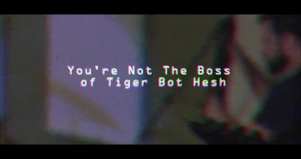 You're not The Boss of Tiger Bot Hesh - Playthrough Video - Backstabberpunk