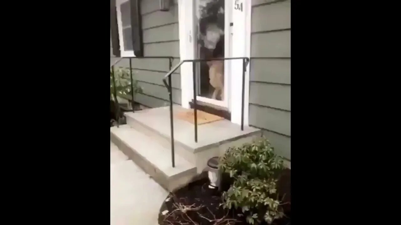 "Oh my gosh, my best friend’s here!"