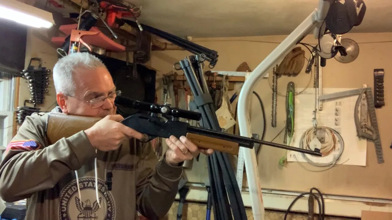 Crosman 760 with bushnell banner 2.5 sighting in and testing pellets