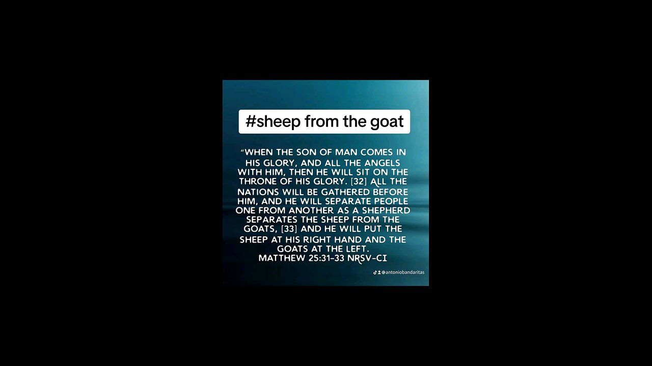 sheep from the goat