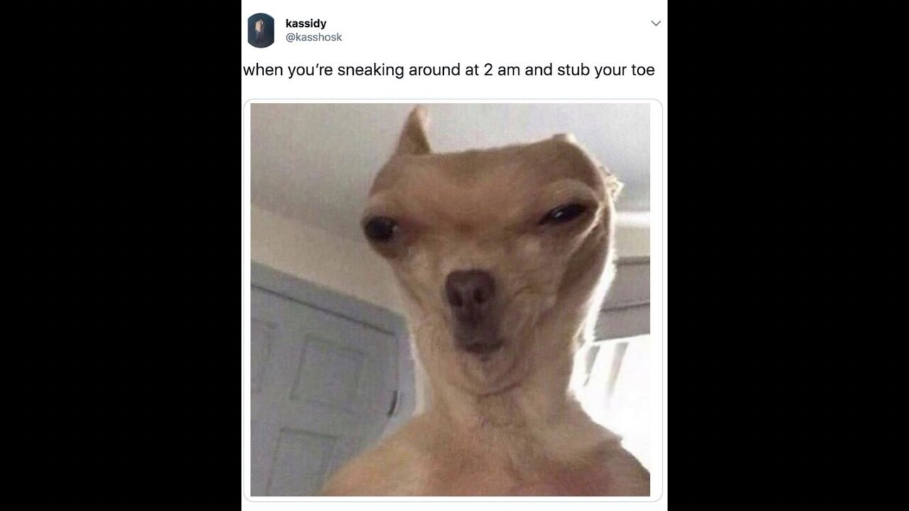 TRY NOT TO LAUGH 😆 pt 2 , ylyl , Best funny videos compilation 😆 Memes , Pranks