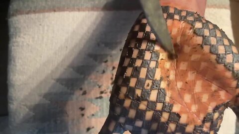 Bonus - Scraping Draped Design Pt. 1