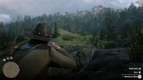 Hunting 11 - Red Dead Redemption 2