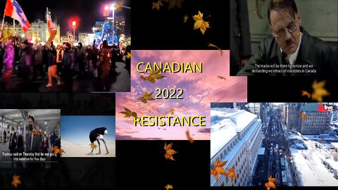 CANADIAN RESISTANCE 2022 IS CONTAGIOUS (COMEDY INC)
