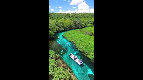 Snorkeling through the clearest river in Brazil