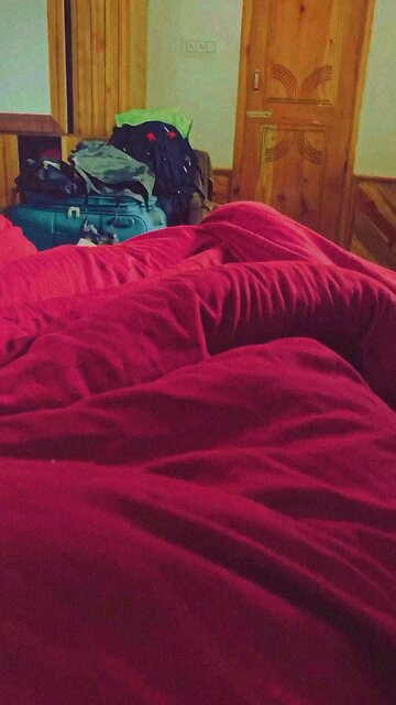 Early in the morning