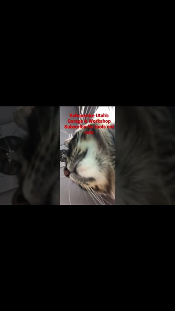 Just checking stuff out - #shorts