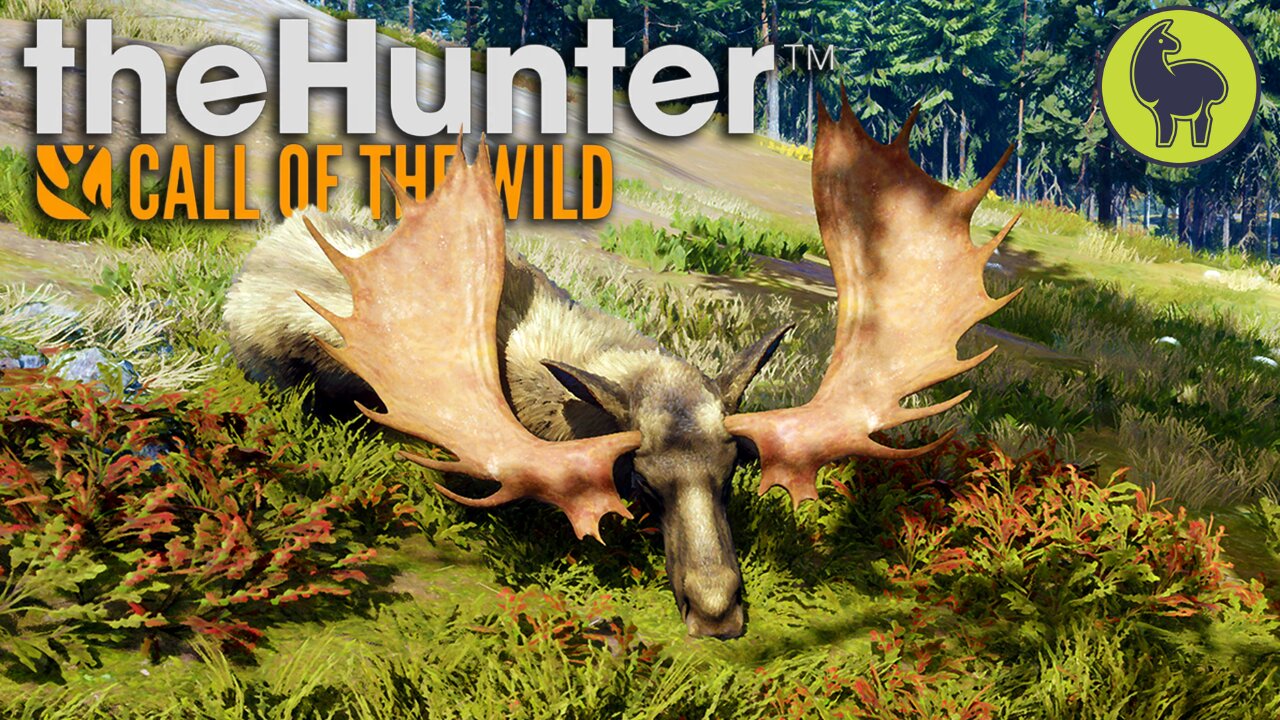 One is Plenty (moose edition) Hunt Club Beta | theHunter: Call of the Wild (PS5 4K 60FPS)