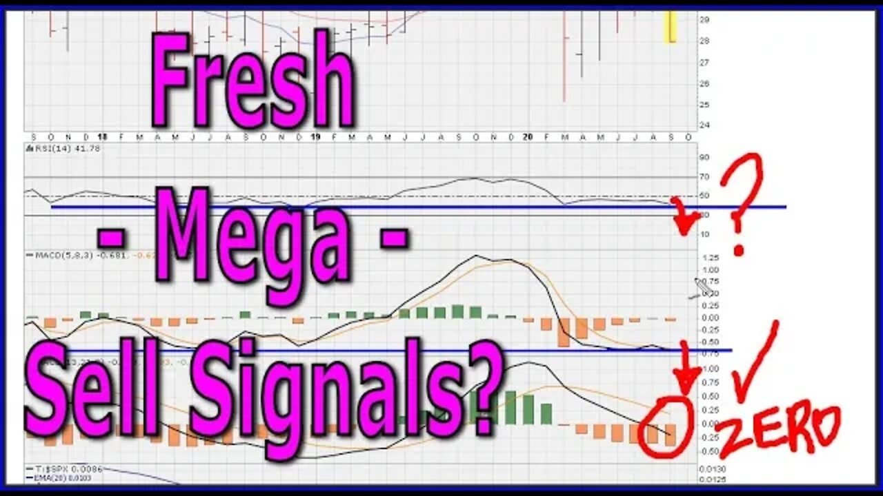 Major Potential FRESH Momentum Sell Signals - #1260