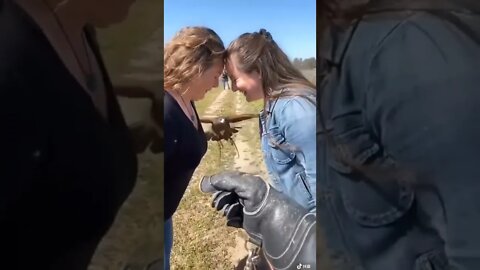 A Falcon Shows Amazing Flight In Video#shorts