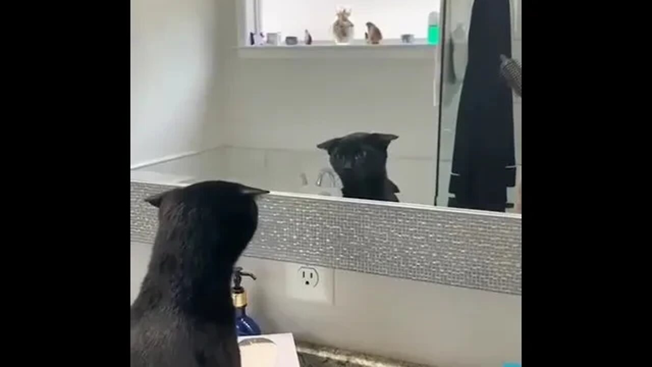 #cute