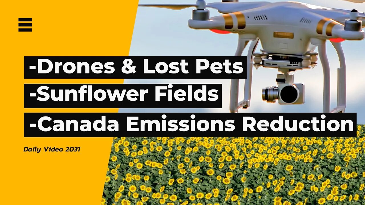 Drone Finding Lost Dog, Canada Emissions Reduction Criticism, Sunflower Field Aerial Captures