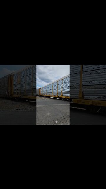 Untouched Autorack WOW !!!