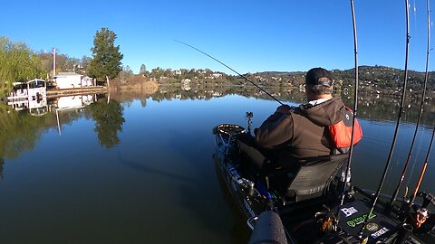 Hog bass smashes the crankbait!