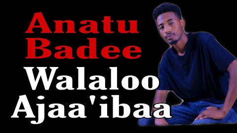 Walaloo Ajaa'ibaa /anuu_anatu_badee/ by Abdulfata Abdulahi