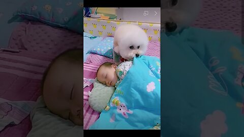 🐕🐕❤️❤️Most heartwarming & touching~ Cute Dog Takes Care Of Cute Baby😘😘