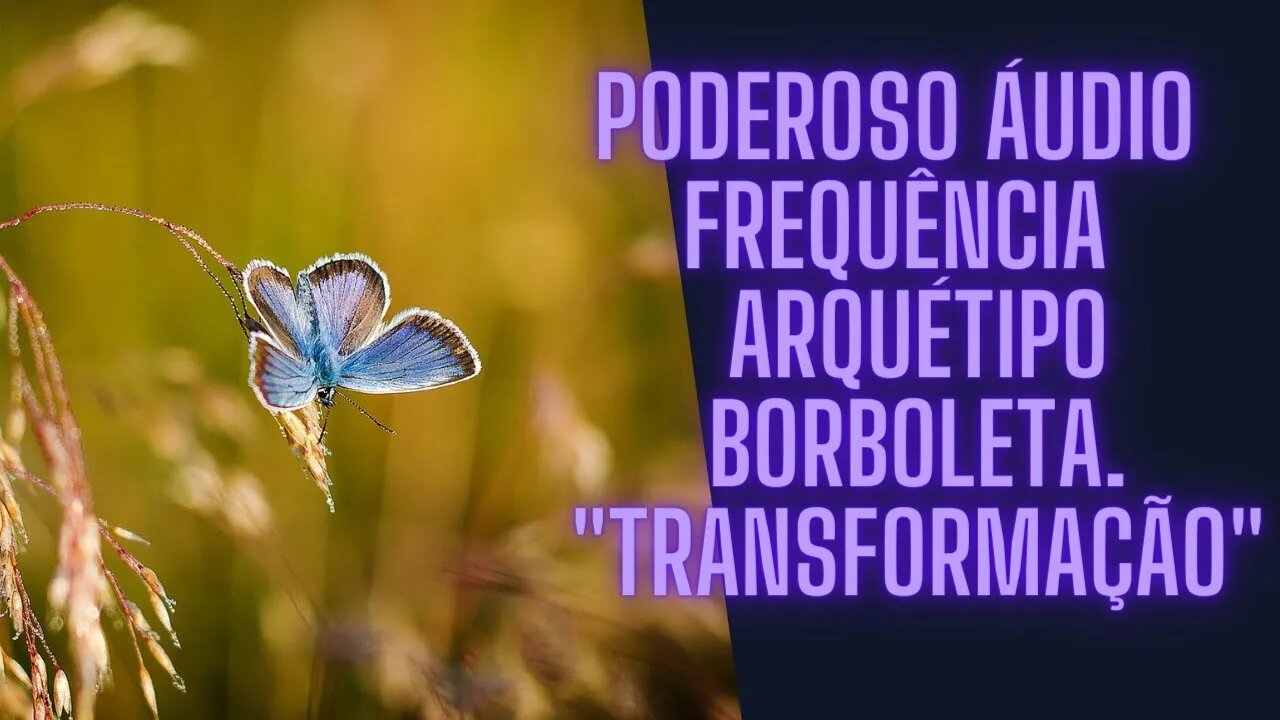 🦋🦋Poderoso Áudio - Frequência - Arquétipo Borboleta. "Transformação"