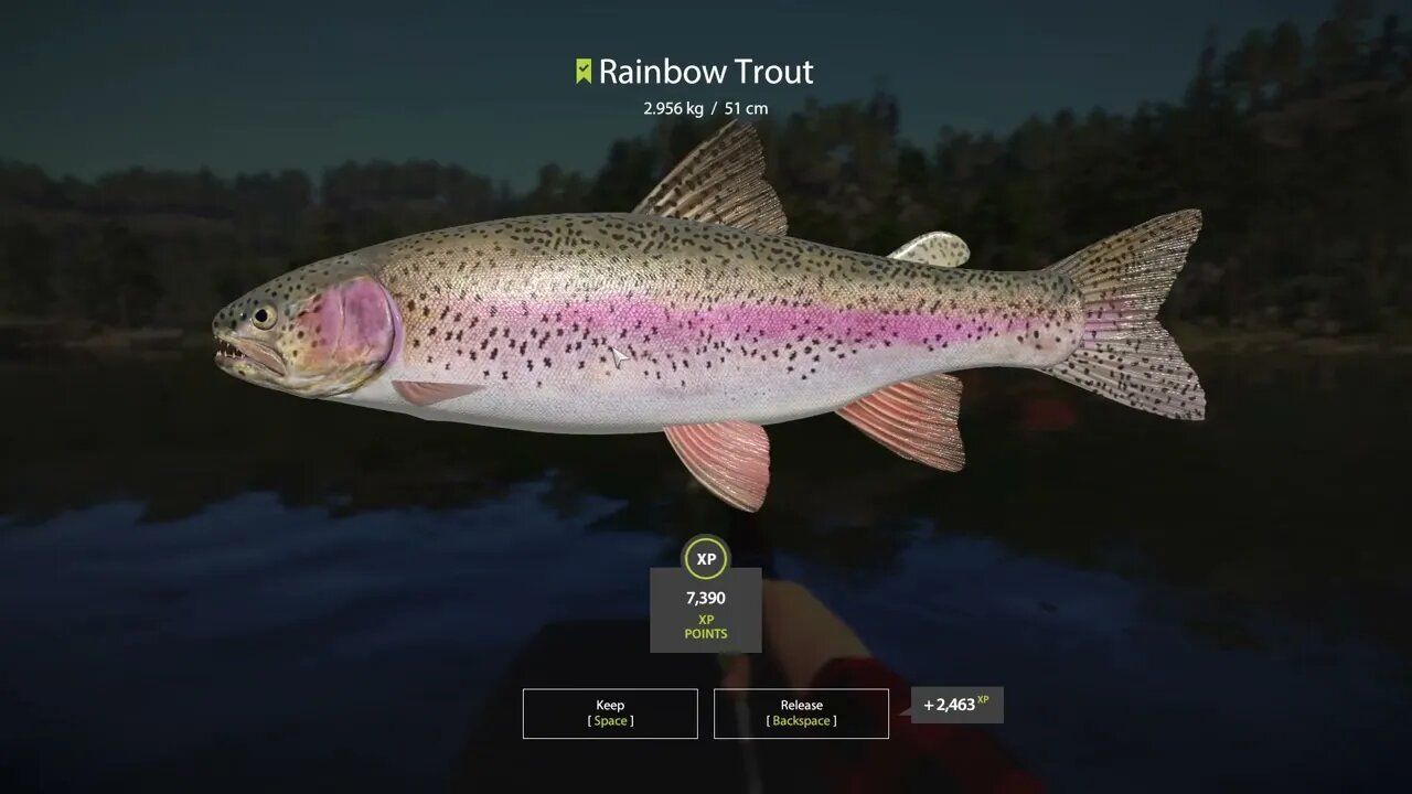 Russian Fishing 4 Kuori lake Rainbow Trout 2.956 Kg