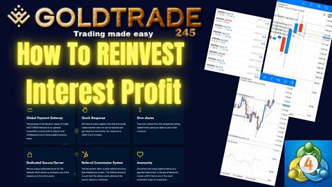 Goldtrade245 | How To Reinvest Your Interest