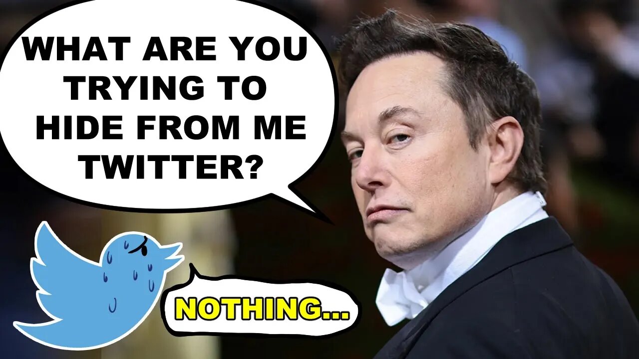 Twitter Is Lying As Elon's buyout Is On Hold