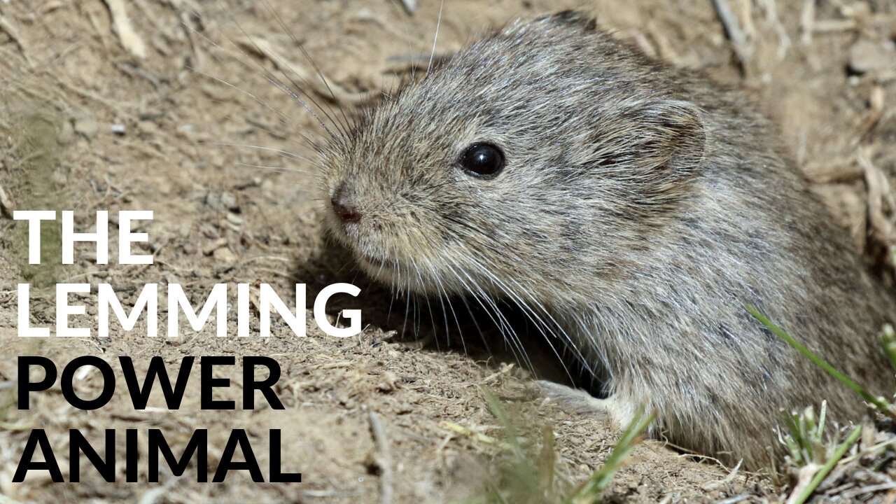 The Lemming Power Animal