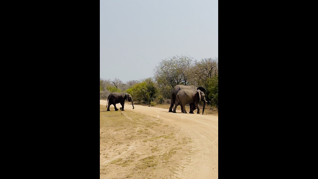 Kruger National Park