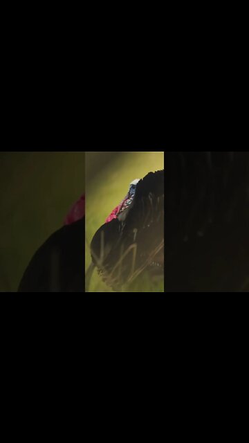 He’s CLOSE! Mornings Like These Are What We Live For!