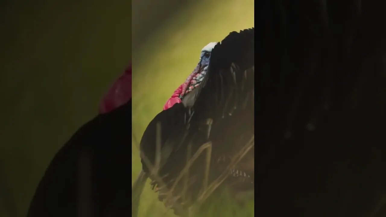 He’s CLOSE! Mornings Like These Are What We Live For!