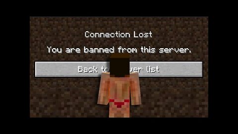 I got banned from this Minecraft SMP…