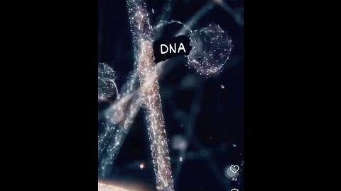 DNA