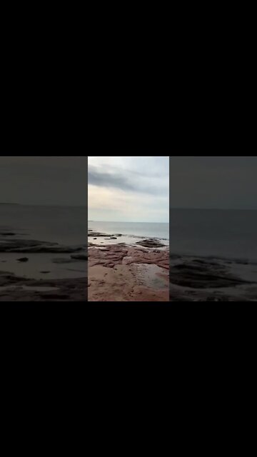 Walking along the rocks on the beach