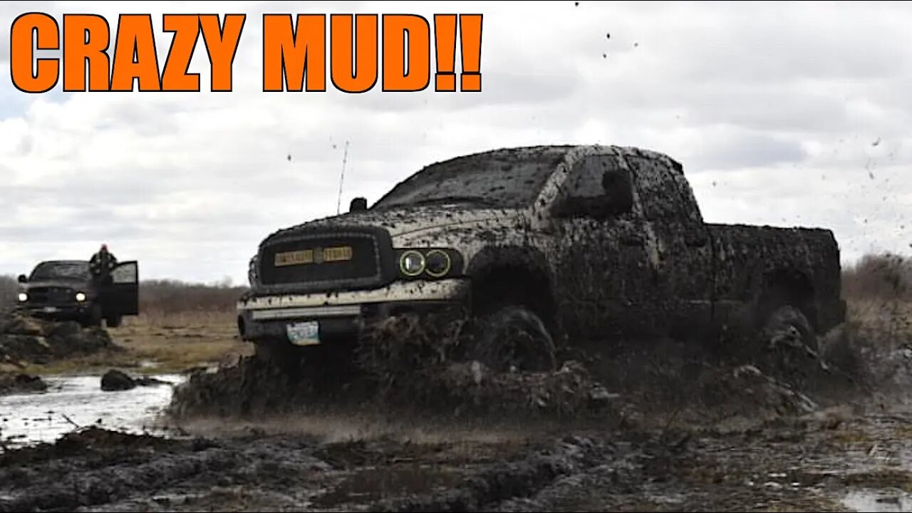 QUARANTINE MUDDING!