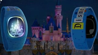 Will Magic Bands+ Be A Hit At Disneyland?