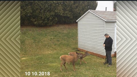 The first time they came near me