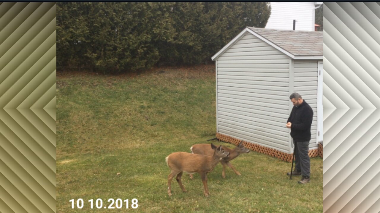 The first time they came near me